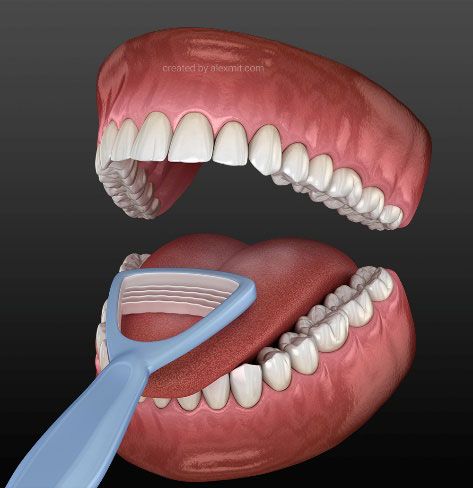 Tongue cleaning - Scraper. Medically accurate 3D illustration of oral hygiene.